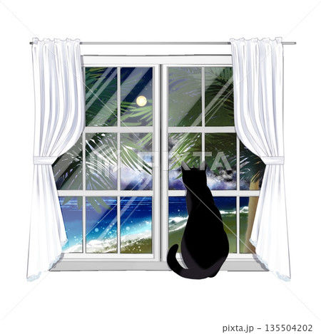 窓から外を眺める猫 窓から外を眺める猫 135504202