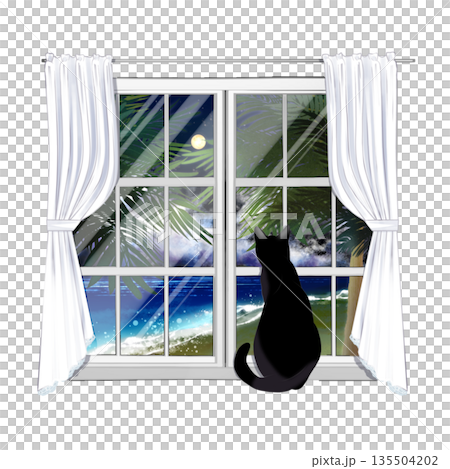 從窗口看外面的貓 從窗口看外面的貓 135504202