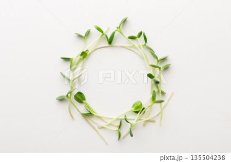 Tender arugula micro greens wreath isolated on white background. Eating right concept. Fresh garden produce organically grown as a symbol of health and vitamins from nature, top view, copy space 135504238