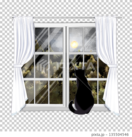 A cat watching the outside from the window 135504546