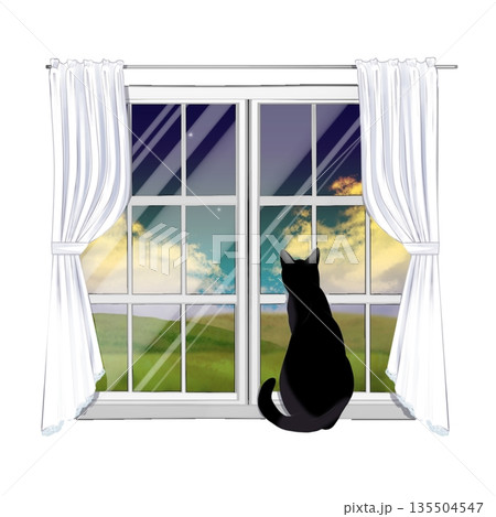 窓から外を眺める猫 135504547