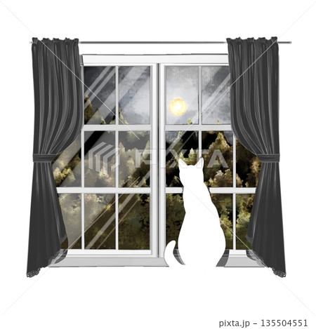 窓から外を眺める猫 窓から外を眺める猫 135504551
