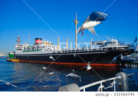 山下公園に停泊する氷川丸とゆりかもめ 135504745