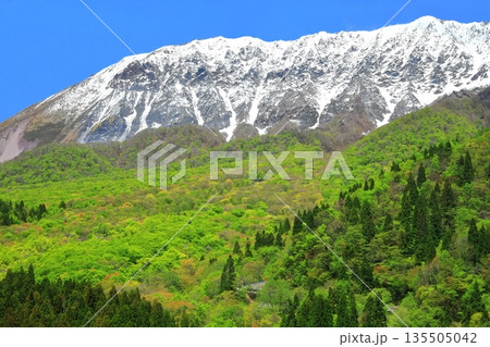 【鳥取県】鍵掛峠から見た冠雪した大山と新緑　 135505042
