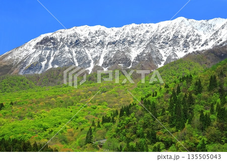 【鳥取県】鍵掛峠から見た冠雪した大山と新緑　 135505043