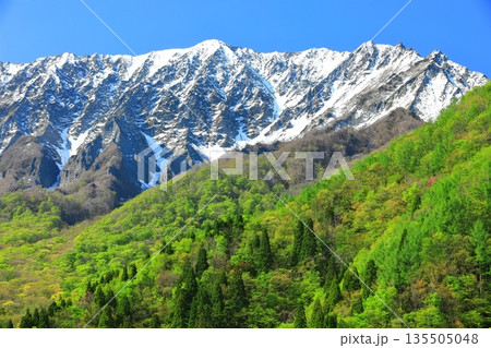 【鳥取県】鍵掛峠から見た冠雪した大山と新緑 【鳥取県】鍵掛峠から見た冠雪した大山と新緑 135505048