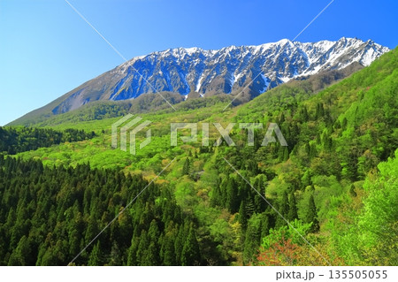 【鳥取県】鍵掛峠から見た冠雪した大山と新緑　 135505055