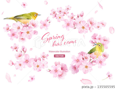 桜の花と小鳥(メジロ)の水彩イラストでデザインした、緩やかな楕円形フレーム 背景に花びら(ベクター) 桜の花と小鳥(メジロ)の水彩イラストでデザインした、緩やかな楕円形フレーム 背景に花びら(ベクター) 135505595