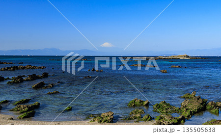 天神島臨海自然観測園 天神島臨海自然観測園 135505638