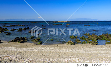 天神島臨海自然観測園 天神島臨海自然観測園 135505642