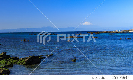 天神島臨海自然観測園 天神島臨海自然観測園 135505645