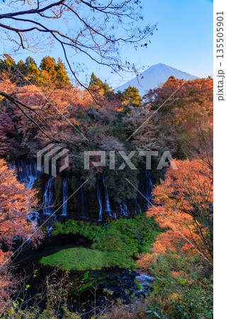 富士宮の美しく壮大な白糸の滝の風景 富士宮の美しく壮大な白糸の滝の風景 135505901