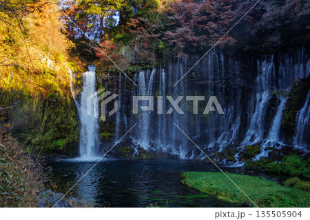 富士宮の美しく壮大な白糸の滝の風景 富士宮の美しく壮大な白糸の滝の風景 135505904