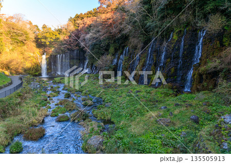 富士宮の美しく壮大な白糸の滝の風景 富士宮の美しく壮大な白糸の滝の風景 135505913