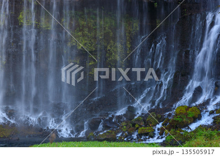 富士宮の美しく壮大な白糸の滝の風景 135505917