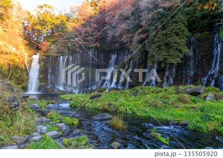 富士宮の美しく壮大な白糸の滝の風景 富士宮の美しく壮大な白糸の滝の風景 135505920