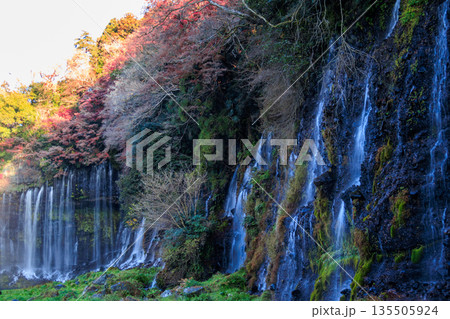 富士宮の美しく壮大な白糸の滝の風景 135505924