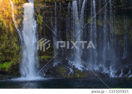 富士宮の美しく壮大な白糸の滝の風景 富士宮の美しく壮大な白糸の滝の風景 135505925