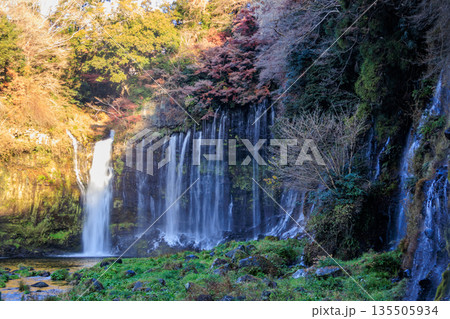富士宮の美しく壮大な白糸の滝の風景 富士宮の美しく壮大な白糸の滝の風景 135505934
