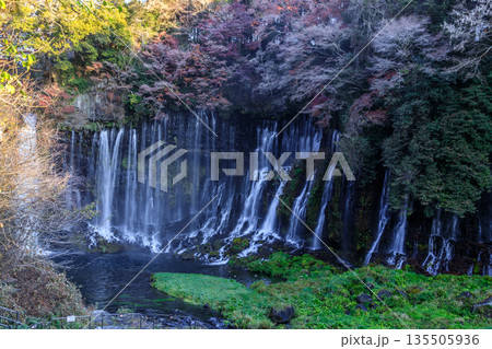 富士宮の美しく壮大な白糸の滝の風景 135505936