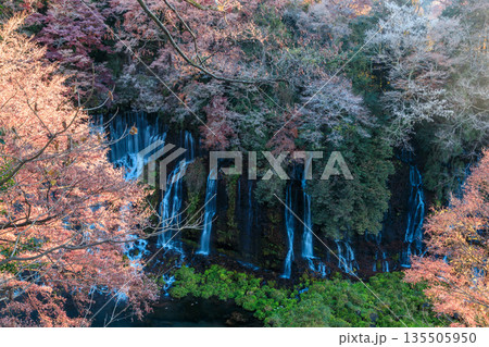 富士宮の美しく壮大な白糸の滝の風景 135505950