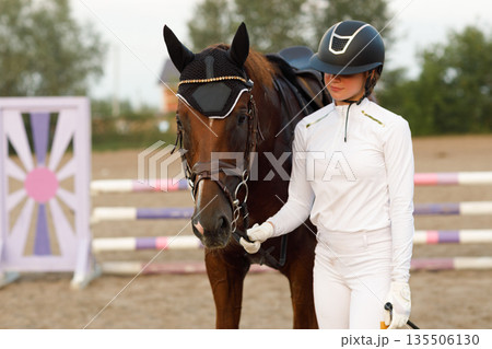 Jockey female rider in uniform holds bridle of dressage horse during equestrian jumping competition show Jockey female rider in uniform holds bridle of dressage horse during equestrian jumping competition show 135506130