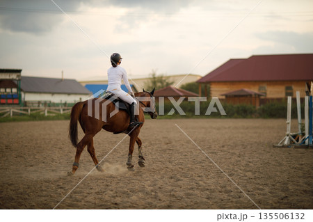 Dressage horse and rider in uniform during equestrian jumping competition Dressage horse and rider in uniform during equestrian jumping competition 135506132