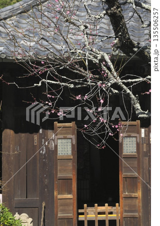 瑞泉寺地蔵堂と咲き始めた紅梅 135506257