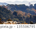 秋のすすきが揺れる丘から望む相模湾と広大な山々のパノラマ風景 135506795