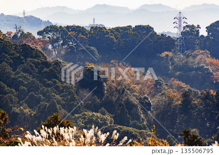 秋のすすきが揺れる丘から望む相模湾と広大な山々のパノラマ風景 135506795