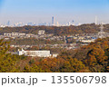 鎌倉の紅葉した山から望むと住宅街の風景 135506798