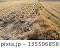 まっすぐ伸びる畦道と収穫後の田んぼが広がる冬の里山の風景 135506858