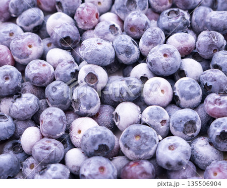 Frozen bog bilberry background. 135506904