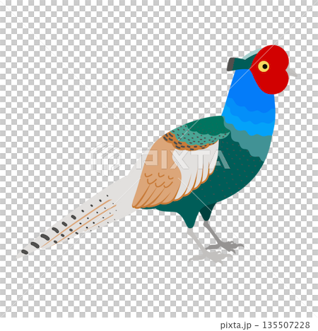 鳥_キジのイラスト_雄 135507228