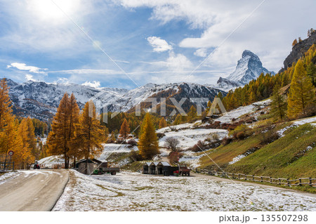 マッターホルンと秋の紅葉した唐松の木々と雪景色. ツェルマット ヴァレー州 スイス  135507298