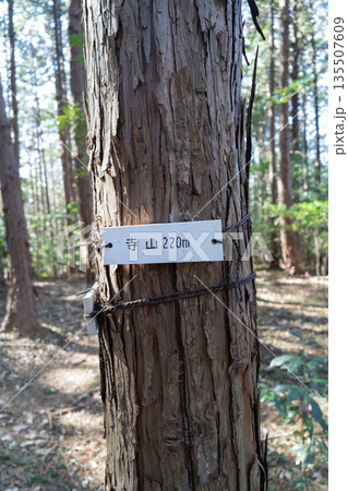 寺山の山頂（埼玉県小川町） 135507609