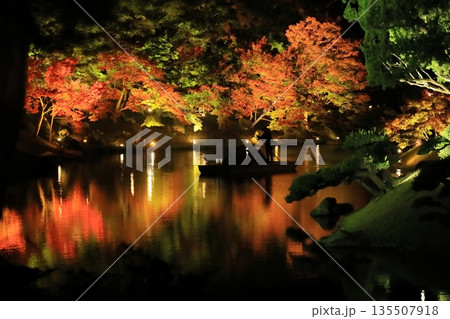 栗林公園秋のライトアップ2025 栗林公園秋のライトアップ2025 135507918