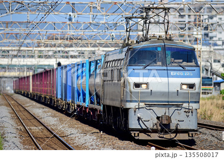東海道本線 平塚 JR貨物 EF66-123(吹田) 東海道本線 平塚 JR貨物 EF66-123(吹田) 135508017