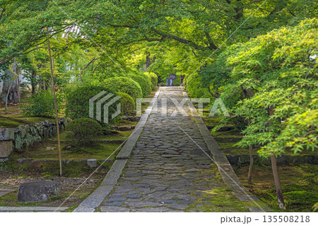 京都 酬恩庵一休寺 参道の夏景色 135508218