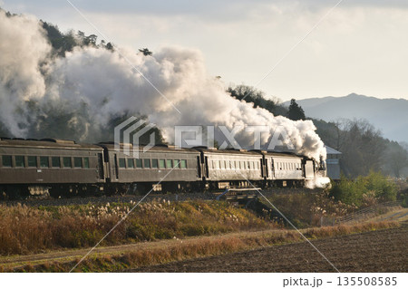 やまぐち号　3 135508585