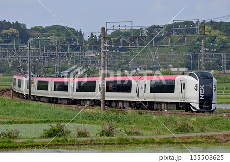 総武本線　佐倉－物井　JR東日本　E259系　Ne003編成（鎌倉）　成田エクスプレス　NEX 135508625