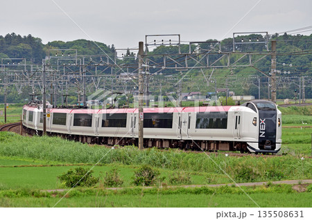 総武本線　佐倉－物井　JR東日本　E259系　Ne020編成（鎌倉）　成田エクスプレス　NEX 135508631