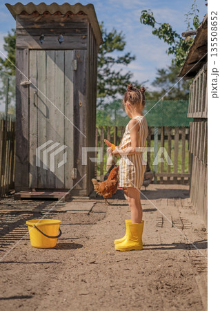 The girl brought a bucket of water and an ear of corn for poultry feed on the farm. Feeding chickens 135508652