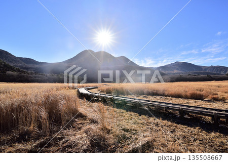 冬のくじゅう長者原 くじゅう長者原タデ原湿原 タデ原湿原自然研究路 冬のくじゅう長者原 くじゅう長者原タデ原湿原 タデ原湿原自然研究路 135508667