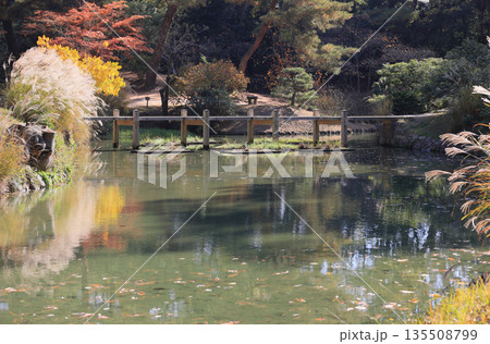 栗林公園、西湖南端の睡竜潭にかかる雁行形の八つ橋「津筏梁」を西側から見る 135508799