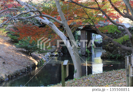 栗林公園、西湖南端の睡竜潭と南湖を分つ留玉梁の紅葉 栗林公園、西湖南端の睡竜潭と南湖を分つ留玉梁の紅葉 135508851