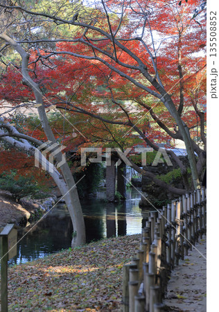 栗林公園、西湖南端の睡竜潭と南湖を分つ留玉梁の紅葉 栗林公園、西湖南端の睡竜潭と南湖を分つ留玉梁の紅葉 135508852