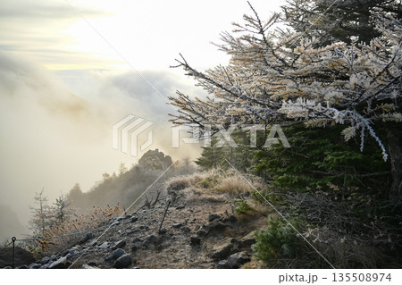 冬の登山道 135508974