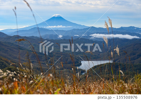 ススキ越しの秋の富士山 ススキ越しの秋の富士山 135508976