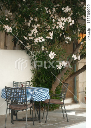 Outdoor dining area with checkered tablecloth and blooming flowers in a serene garden setting Outdoor dining area with checkered tablecloth and blooming flowers in a serene garden setting 135509009